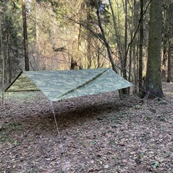 Tent Cover - photo 9743