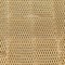 "Forester" Plate Carrier - photo 10435 "Forester" Plate Carrier - photo 10435