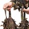 "Taiga" Camouflage Backpack Cover - photo 10664 "Taiga" Camouflage Backpack Cover - photo 10664