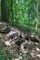 "Taiga" Camouflage Set - photo 10589