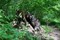 "Taiga" Camouflage Set - photo 10590