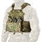 "Wolfram" Plate Carrier - photo 7389